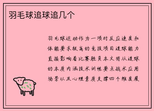 羽毛球追球追几个