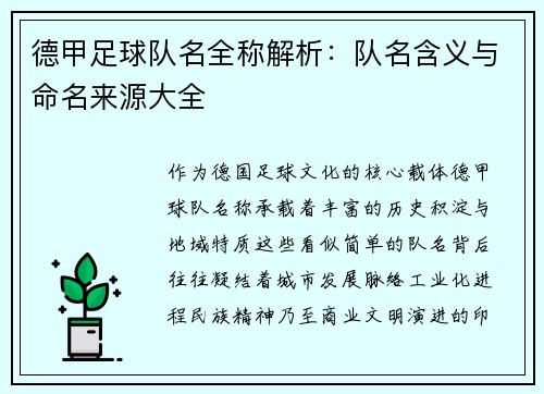 德甲足球队名全称解析：队名含义与命名来源大全